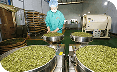 赛澳理|茶叶原料